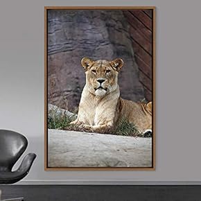 signwin Framed Canvas Wall Art Lions Animals Chic...