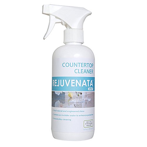 DryTreat Stain Proof Daily Countertop Cleaner 1 Pint, RTU Spray