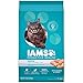 IAMS PROACTIVE HEALTH Weight & Hairball Care Dry Cat Food for Adult Indoor Cat Healthy Weight with Chicken, Turkey, and Garden Greens, 16 lb. Bag primary