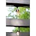 Eueasy Outdoor String Lights with 15 E26 Sockets by Deneve - 48 Feet Long