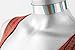 Twilight's Fancy Silvery Rainbow Metallic Hologram Holographic Choker Necklace (Large)