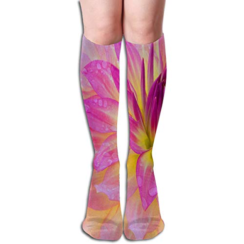Socks Pink Flowers and Water Drops Fantastic Womens Stocking Party Sock Clearance for Girls