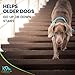 K9 Nature Supplements: Nature’s Aches Away - 55 Soft Chews for Dogs - Advanced Formula for Pet Mobility & Joint Pain Support - Natural, Herbal Treats - with Willow Bark Extract, Cat’s Claw & Fish Oil