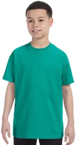 Amazon.com: Gildan G500B Youth Heavy Cotton T-Shirt - Electric