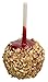 Perfect Stix WRS55SP-200 Wooden Candy Apple Skewer Stick - 5-1/2