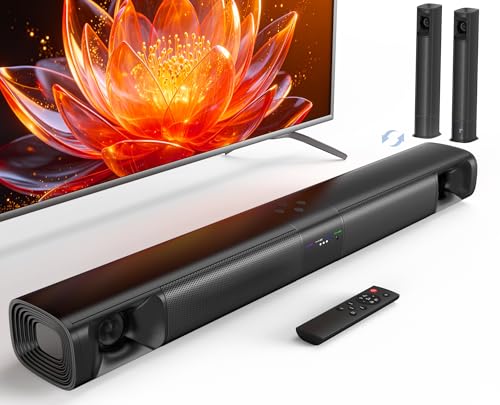 WebsLand Sound Bar