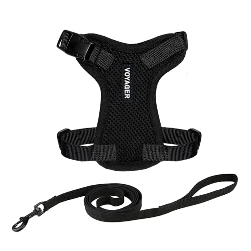 Voyager Escape-Proof Step-in Lock Cat Harness & 5ft Neoprene-Handle Leash Set A…