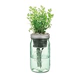 Modern Sprout MS-GS-1004 Indoor Cilantro Herb Kit (7 Items)