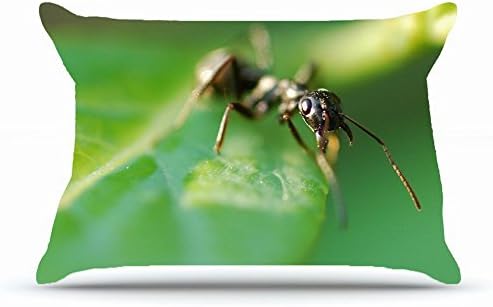 Xcdhhd Queen Pillowcase Size 20 x 30 Inches Cotton Pillowcases Decorative Pillow Cover with Hidden Zipper Decor Cushion Covers - Animal Ant For Car