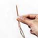 100 Pcs Plastic Sewing Needles, iFergoo 50 Pcs 3.5
