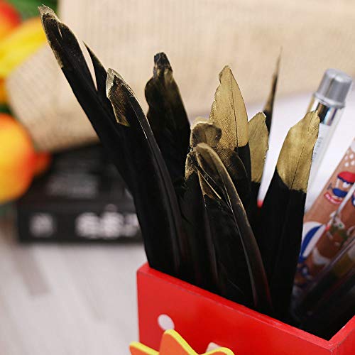 40pcs Gold Dipped Black Goose Feather, Natural Real Feather for Various Craft Art Decoration, DIY Dress-ups Party, Headdresses, Wedding, Dream Catcher Accessories, 4-6 inch - Thumbnail 4