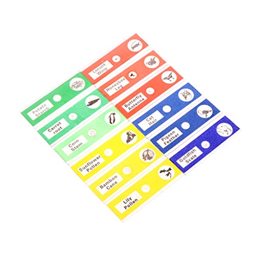 Hukai 12 Pcs Prepared Microscope Slides Set Specimen For Student Basic Biology Education - Thumbnail 2