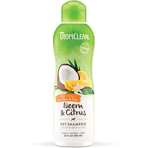 Tropiclean Neem and Citrus Dog Shampoo, Safe and Effective Soothing Relief from Itching and Irritation due to Fleas and Ticks, 20 oz.