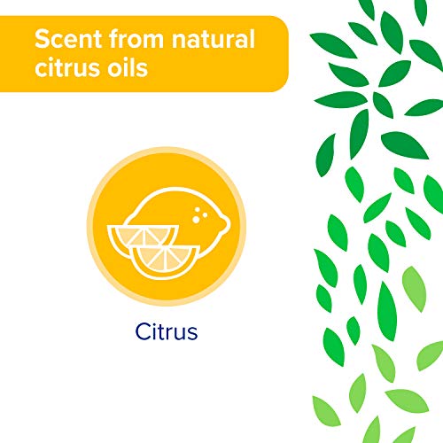 Sun & Earth All Purpose Cleaner, Light Citrus, Pack of 6, 132.0 Fl Oz