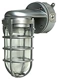Woods L1707SVBS Traditional 100W Incandescent Weather Industrial Light, Wall Mount, Brushed Steel (Tools &amp; Home Improvement)