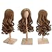 1/3 BJD SD Doll Wig with 9-10 Inch High Temperature Synthetic Fiber Dark Brown Long Kinky Wavy Hair with Middle Parting Wig BJD Doll Wigs for 1/3 BJD SD Doll(22#)