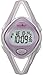 Timex Women's T5K027 