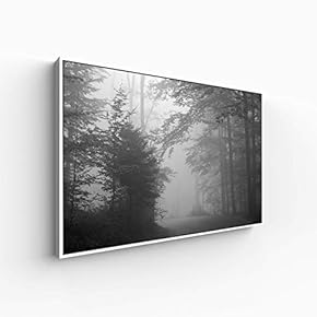 Canvas Wall Art for Living Room, Bedroom Monochrome Plants Framed Canvas Prints for Home Decoration Ready to Hang - 16x24 inches