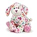 Webkinz Sweetheart Pup 8.5