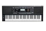 Kurzweil KP110