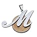 FUNRUN JEWELRY Womens Mens Stainless Steel Initial Letter Pendant Necklace,Letter M