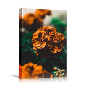 signwin Canvas Wall Art Orange Petals Closeup Bedroom...