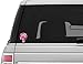 Vinyl Junkie Graphics Breast Cancer Ribbon Punisher Skull Pink Camouflage car Truck Laptop Sticker Custom Graphic Decal 5