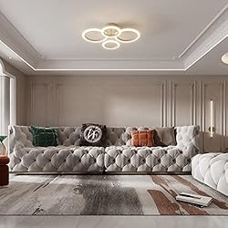 OUQI Modern LED Ceiling Light Dimmable Remote