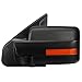 Driver Left Side Rear View Mirror - Manual Folding | Power Adjustment | Heated Glass | Amber LED Turn Signal | Puddle Light - Compatible with Ford F-150 04-14, Texture Black