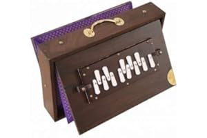 INDIAN MUSICAL INSTRUMENTS Shruti Box 13 notes: C C# D D# E F F# G G# A A# B C
