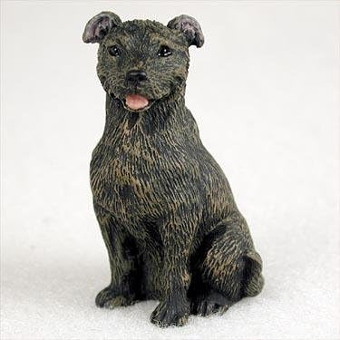 mini staffordshire bull terrier