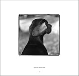 Image de The Dog: 100 Years of Classic Photography