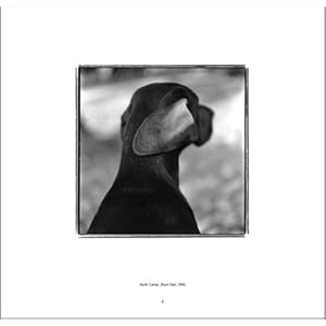 The Dog: 100 Years of Classic Photography