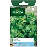 Graines De Basilic Grand Vert VILMORIN - Sachet Aromatique Pour Jardin Et Cuisine