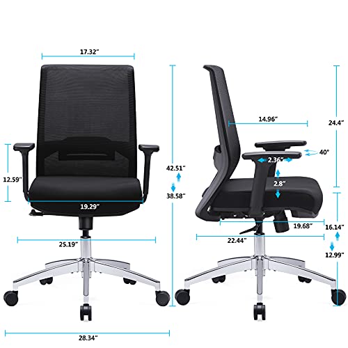 Tribesigns Ergonomic Office Chair, Big and Tall Home Office Desk Chair