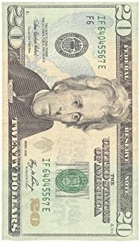 20 Dollar Bill Money Pattern Custom Beach Hotel Travel Washcloth Hand Towel Warmer Soft and Comfortable 80% Polyester 20% Cotton, (16" x 28")
