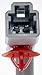 Dorman 741-564 Rear Driver Side Power Window Regulator and Motor Assembly Compatible with Select Honda Models