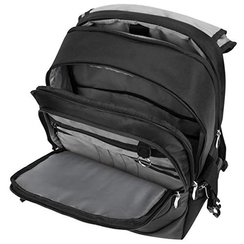 Targus Voyager II Travel Business Backpack Deals, Coupons & Reviews