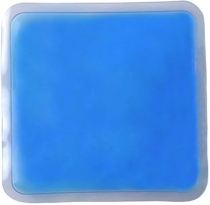 cat feeder with ice pack