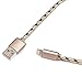 Fenergy 2-Pack Certified Nylon Braided Lightning to USB Cable for iPhone iPad iPod - (10 Feet / 3 Meter)