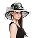 SAFERIN Women's Organza Church Kentucky Derby Fascinator Bridal Tea Party Wedding Hat