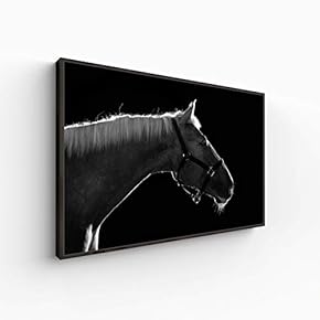 Canvas Wall Art for Living Room, Bedroom Animal Portrait Framed Canvas Prints for Home Decoration Ready to Hang - 16x24 inches