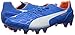 PUMA Men's Evospeed 1.4FG Soccer Shoe
