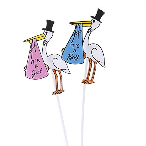 Factory Direct Craft Group of 12 Floral Embellishing Acrylic Baby Announcement Script Picks for Inserting in Real and Artificial Floral Arrangements