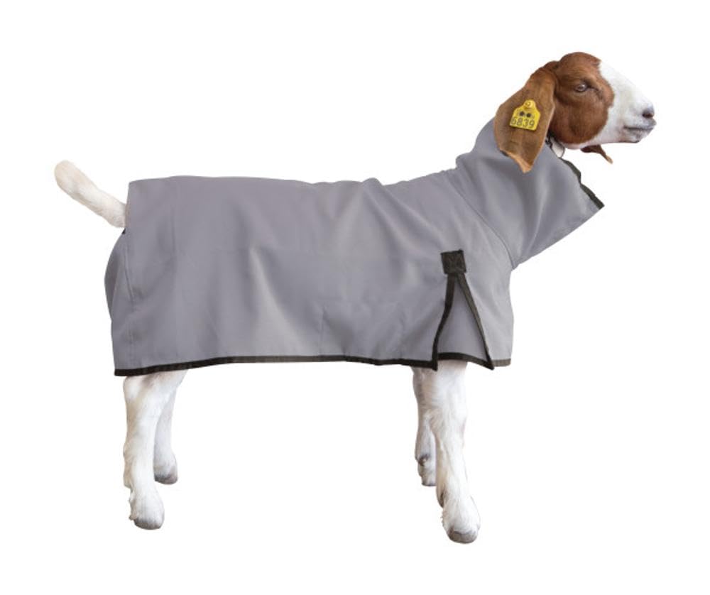 Weaver Leather Goat Blanket, Medium, Gray