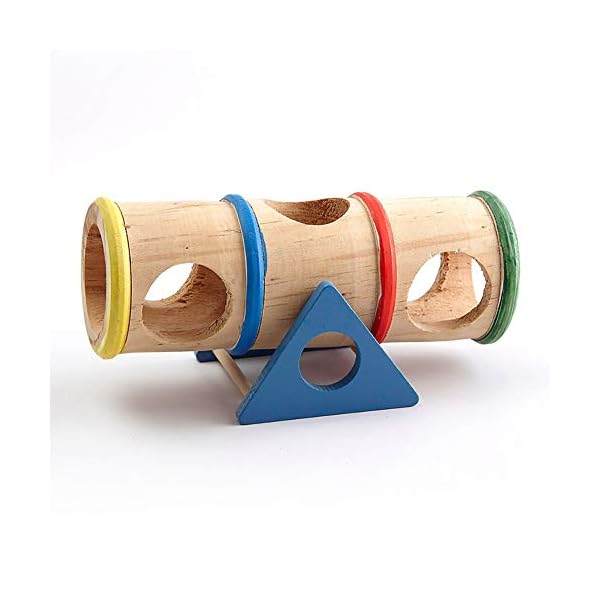 1PC Hamster Altalena Colorata di Legno Cilindro Hamster Tubi Altalena Giocattolo Piccoli Animali Parco Giochi Divertirsi… Marca: Asien 1PC Hamster Altalena Colorata di Legno Cilindro Hamster Tubi Altalena Giocattolo Piccoli Animali Parco Giochi Divertirsi…