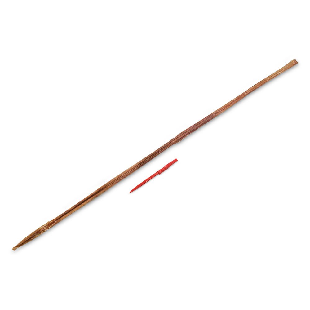 gigabite bully sticks