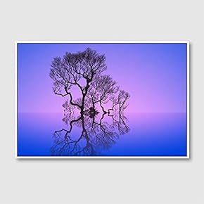 Framed Canvas Wall Art for Living Room, Bedroom Animals Canvas Prints for Home Decoration Ready to Hang - 16x24 inches