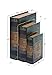 Deco 79 Faux Book Box Set with Library of World Poetry Theme