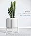 Mid Century Modern Plant Stand – Fits Large 12 & 13 Inch Planter Pots (NOT Included) – Handmade Wood Standing Holder for Indoor House Plants and Outdoor Patio Deck – White Colorthumb 1